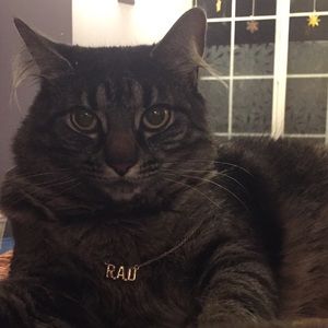 Meet your Posher, Ruby